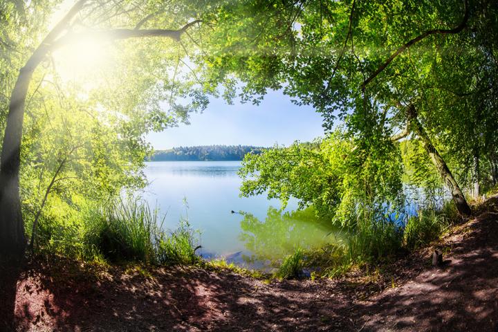 Grands lacs de la forêt d'Orient